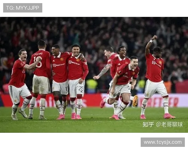 英超各球队每年投入资金排行榜及变化趋势