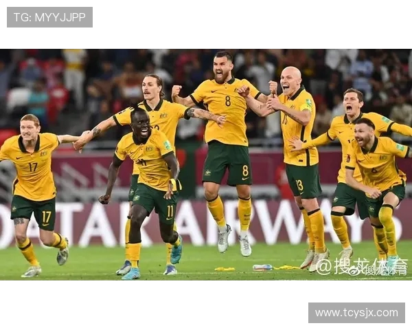聚焦澳大利亚世界杯小组赛征程与挑战前景展望全景解析与未来走势观察